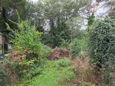 Picture 10